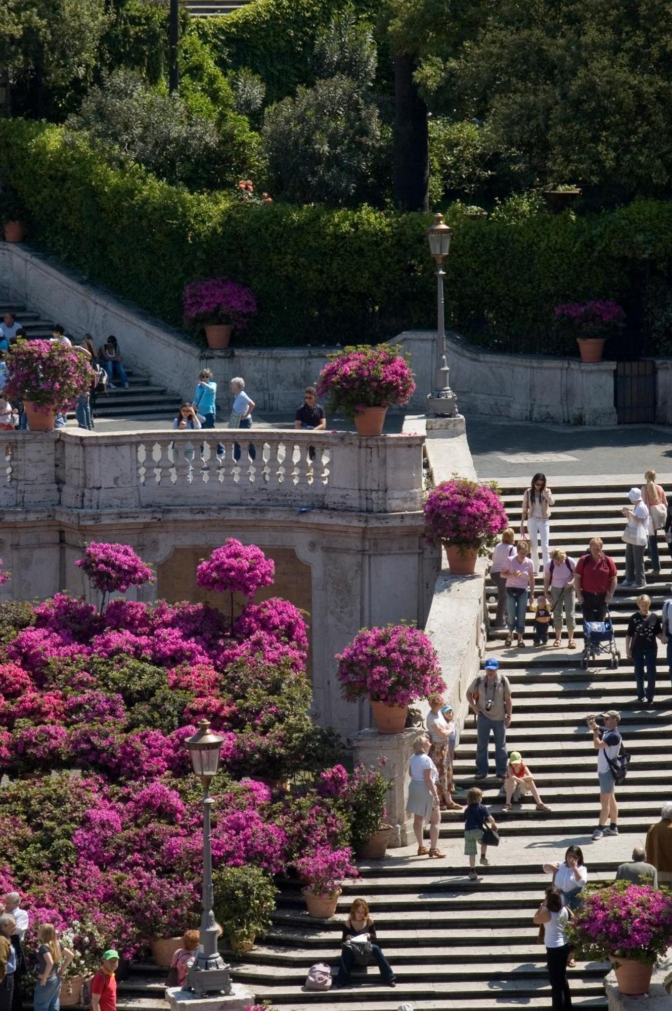 Gasthof The At The Spanish Steps Luxury Collection - The View *